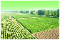 中国·银河集团(galaxy)有限公司-官方网站