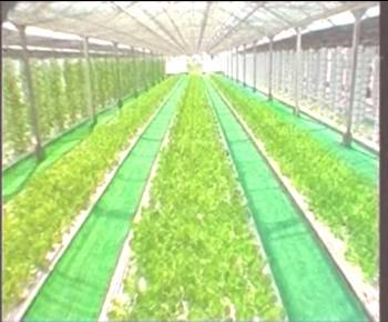 中国·银河集团(galaxy)有限公司-官方网站