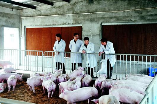 中国·银河集团(galaxy)有限公司-官方网站