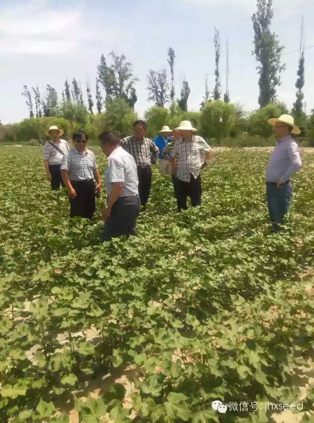 中国·银河集团(galaxy)有限公司-官方网站