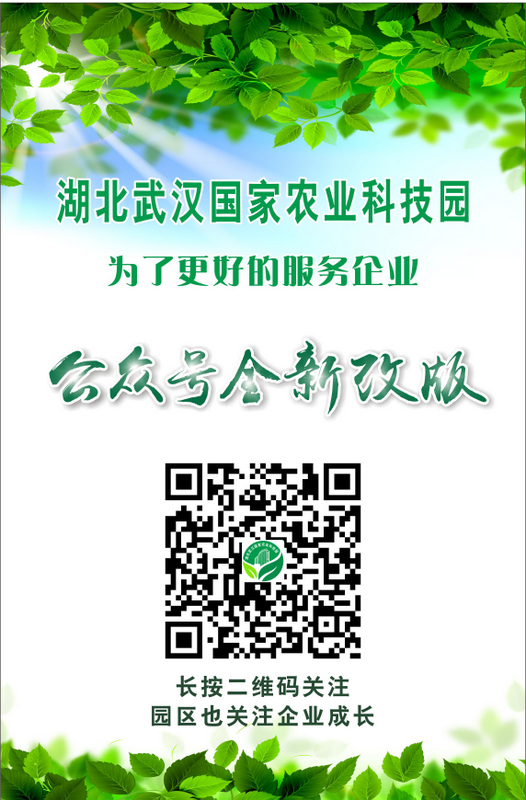 中国·银河集团(galaxy)有限公司-官方网站