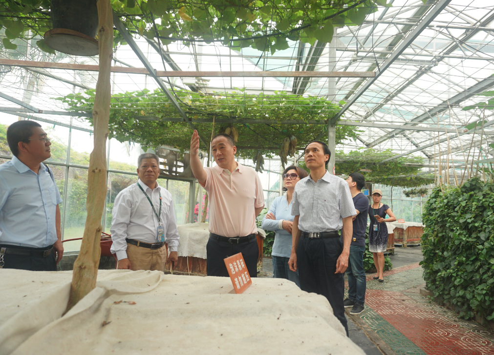 中国·银河集团(galaxy)有限公司-官方网站