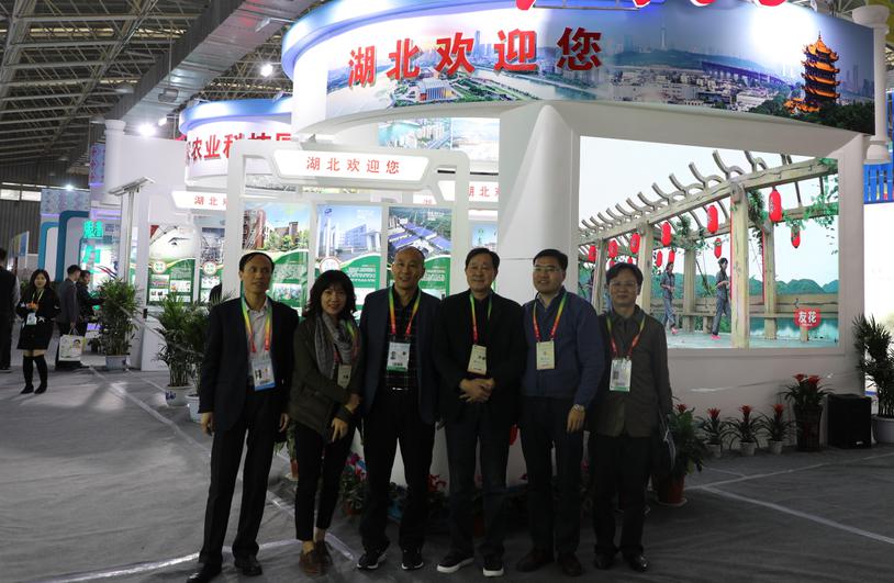 中国·银河集团(galaxy)有限公司-官方网站